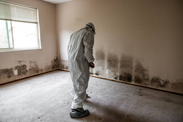 Best Crawl Space Mold Removal  in West Liberty, WV